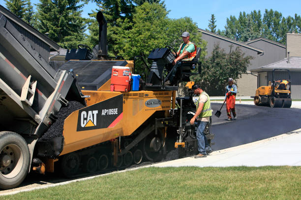 Best Driveway Repair Near Me  in Lafayette, CO
